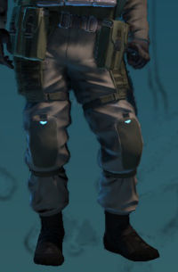 Dataluxe R2 Skirmisherm.jpg