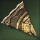 Crafted Soul Shield Primer.png
