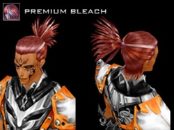 Season Hairstyle - Official Cabal Wiki