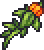Harvest Staff