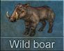 Call image for Wild boar