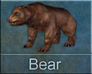 Call image for Bear