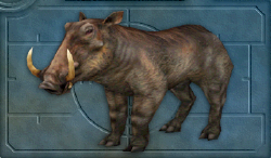 Menu image of Wild boar