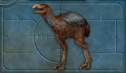 Menu image of Diatryma
