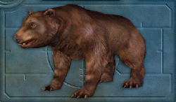 Menu image of Bear