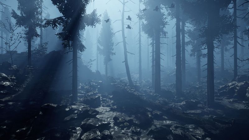 Archivo:Forest.jpg