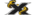 HSG Xtravagantlogo std.png