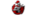 Reborn Knightslogo std.png