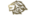 Team Requiemlogo std.png