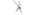 White Rabbit Gaminglogo std.png