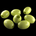 Olive.png