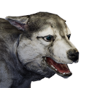 Wolf Cub (Pet) - Official Conan Exiles Wiki