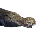 Greater Crocodile (Variant A) - Official Conan Exiles Wiki