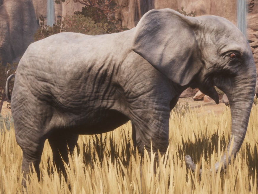 Elephant Calf Official Conan Exiles Wiki