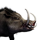 Greater Boar (Pet) - Official Conan Exiles Wiki