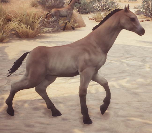 Foal (Pet) - Official Conan Exiles Wiki