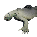 Shaleback Carcass - Official Conan Exiles Wiki