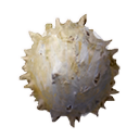 Scorpion Egg-sac (Pet) - Official Conan Exiles Wiki