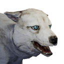 Frostwolf Cub (Pet) - Official Conan Exiles Wiki