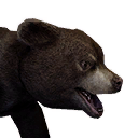 Bear Cub (Pet) - Official Conan Exiles Wiki