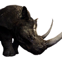 Black Rhinoceros (Pet) - Official Conan Exiles Wiki