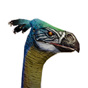 Ostrich (Variant B) - Official Conan Exiles Wiki