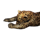 Jaguar Carcass - Official Conan Exiles Wiki