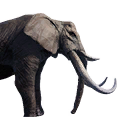 Tamed Elephant (Variant A) - Official Conan Exiles Wiki