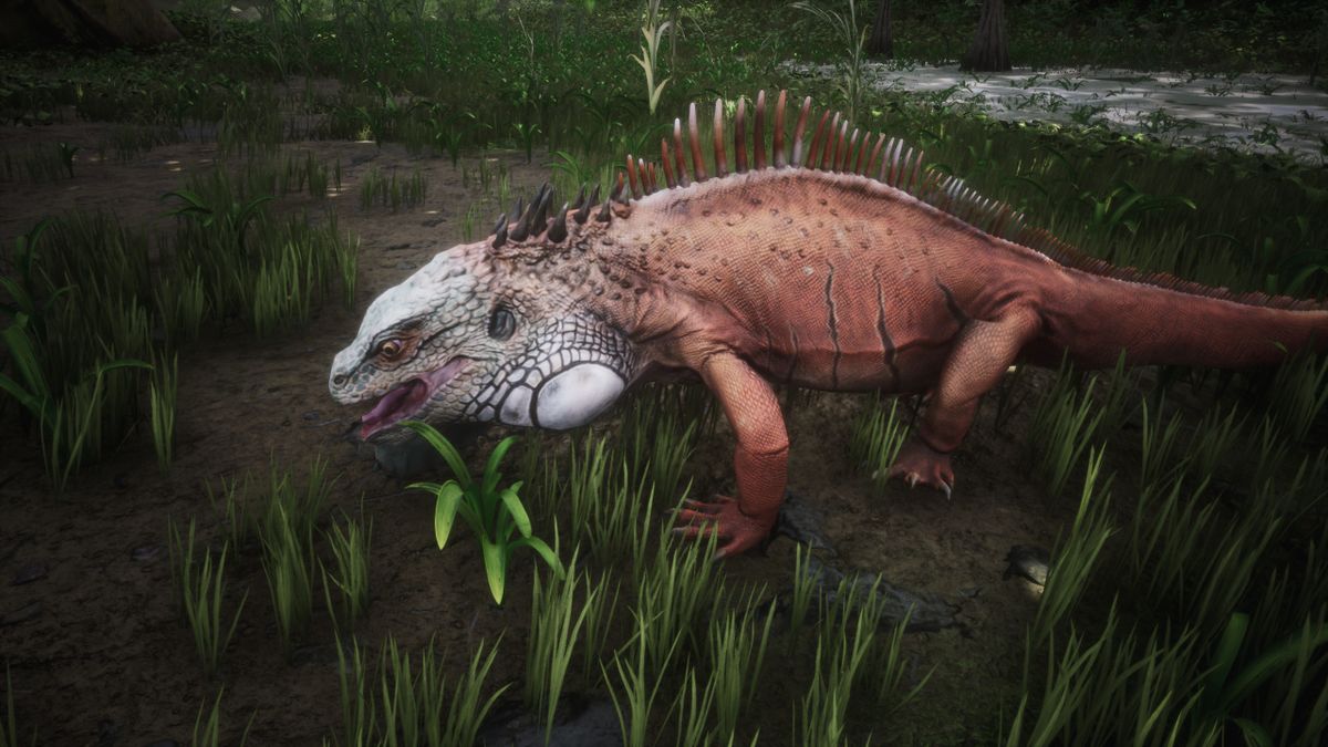 Salamander Official Conan Exiles Wiki