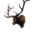 Icon trophy elk.png