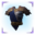 Epic icon AquiHeavy top.png
