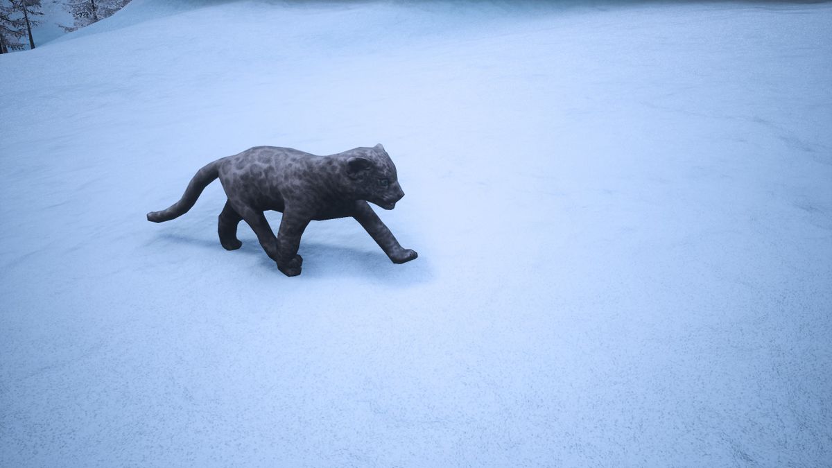 Conan exiles саблезуб. Conan exiles саблезубый тигренок. Conan exiles саблезуб. Conan exiles крупный саблезубый тигр. Conan exiles лютоволк.