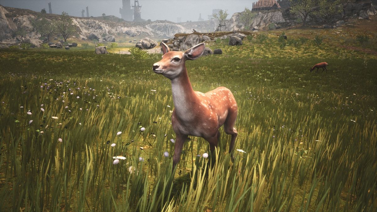 Deer Official Conan Exiles Wiki