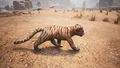 Tiger Cub - Official Conan Exiles Wiki