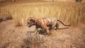 Tiger Cub - Official Conan Exiles Wiki