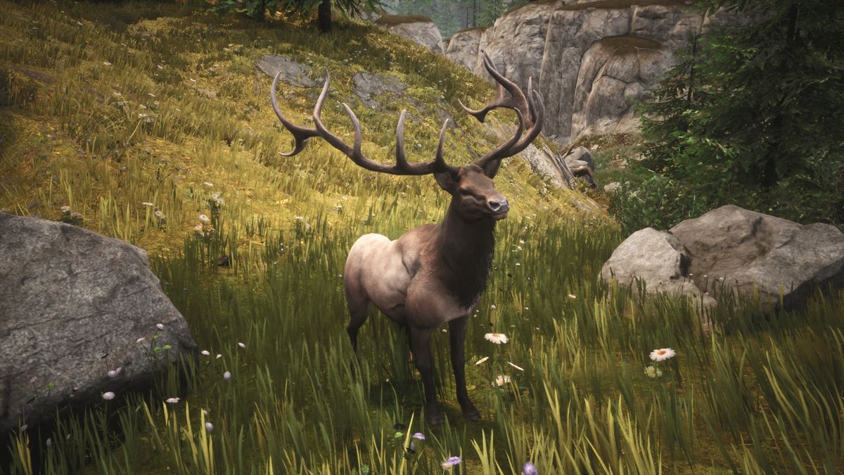 Elk Official Conan Exiles Wiki