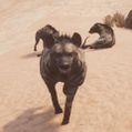 Striped Hyena - Official Conan Exiles Wiki