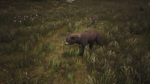 Black Bear Cub - Official Conan Exiles Wiki