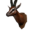 Icon trophy gazelle.png