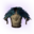 Icon PictLight Top.png