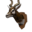 Icon trophy antilope.png