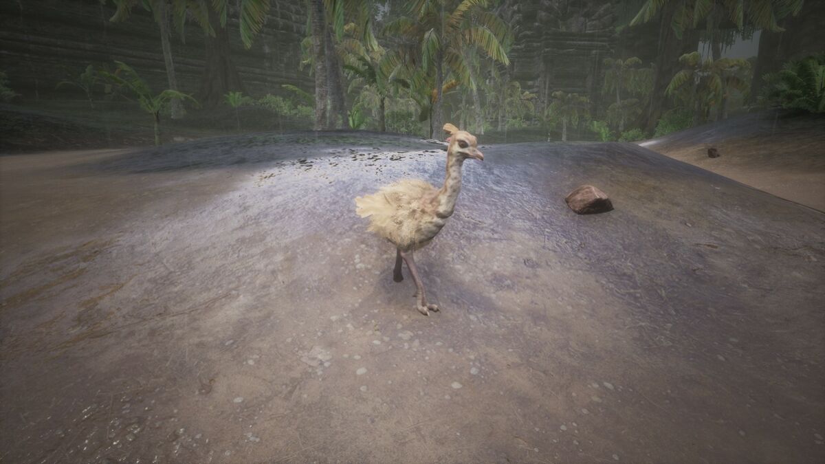 Ostrich Chick Official Conan Exiles Wiki