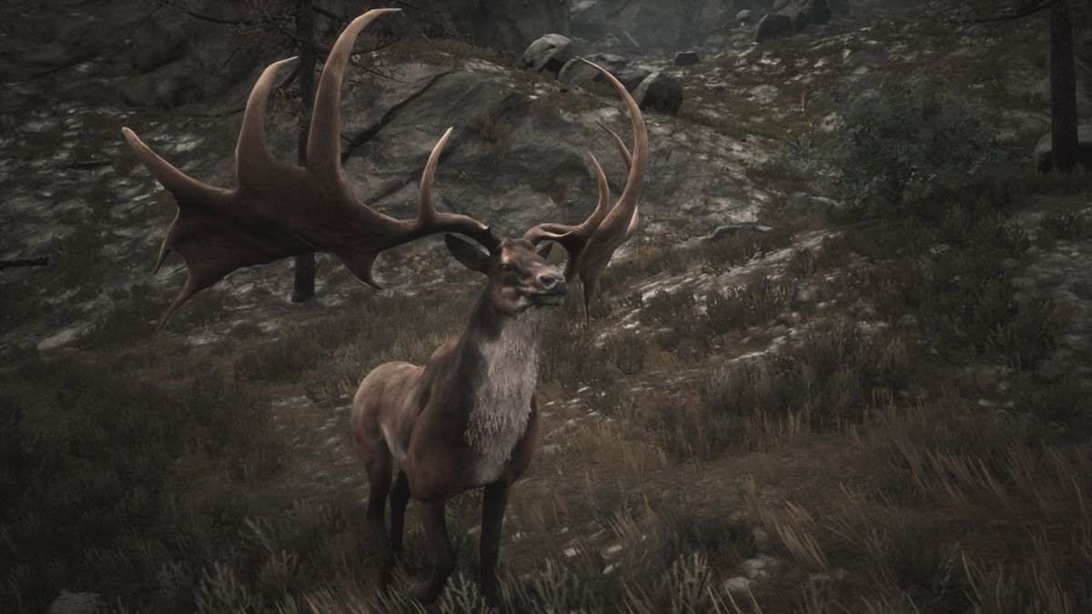 Elk King Official Conan Exiles Wiki