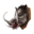 Icon trophy boar.png