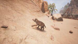 Spotted Hyena Cub - Official Conan Exiles Wiki