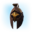 Icon Aquilonian Medium helmet.png