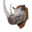 Icon trophy white.png