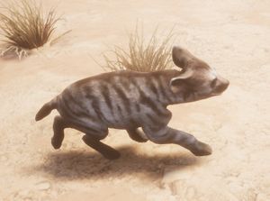 Striped Hyena Cub - Official Conan Exiles Wiki