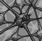 Cortex Wave Scan