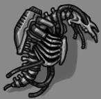 Fossilized Skeletal Remains
